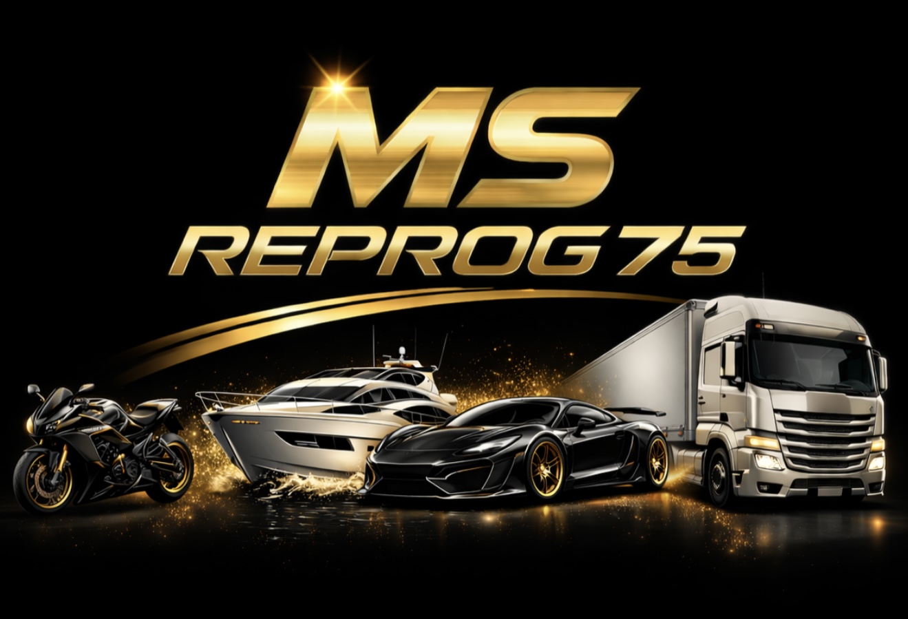MSREPROG75 — Reprogrammation moteur voitures, motos, bateaux, poids lourds